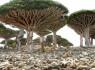 عجیب ترین مکان روی زمین + تصاویر