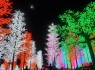 شهر دیجیتالی و نئونی در مالزی + تصاویر