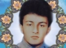 شهید جواد نیک گو