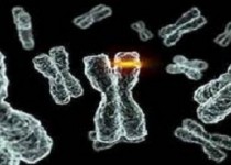 ارتباط مستقیم ازدواج های فامیلی و افزایش بیماری های چشمی در کودکان!