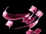 وقتی توسل به حضرت زینب(س) یهودی را صاحب زینب می کند!!!