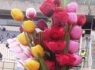 رونمایی از جام سرخابی در دربی/ هنرمند زاهدانی سوژه برنامه نود+عکس