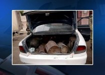 کشف 4 خودروی بمب گذاری شده در غرب کربلا