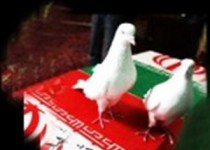 شهادت یک مامور نیروی انتظامی توسط اشرار مسلح