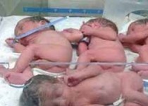 مرگ 4 نوزاد از هفت قلوهای مشهدی