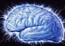 روش جادویی برای افزایش توانایی مغز و بالا بردن سطح هوش