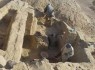 در «شهر سوخته» چه خبر بوده؟