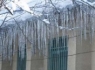 یخبندان شبانه در راه است
