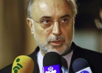 صالحی: قرار نیست سوختی از ایران خارج شود/ ساخت نیروگاه و داشتن آن حق ایران است