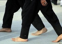 آیا واقعا اهل بیت در سال 61 هجری به کربلا آمده اند؟/عبور اهل بیت از کدام مسیر بوده است؟