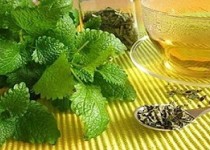 گیاهی برای درمان دلپیچه شدید گیاهی برای درمان دلپیچه شدید