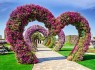 بزرگترین بوستان گل جهان + تصاویر