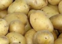 کنترل چاقی با عصاره‌ی سیب زمینی