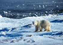 قطب شمال مال کیست؟