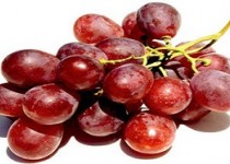 جنگیدن با سرطان با هسته این میوه استثنایی