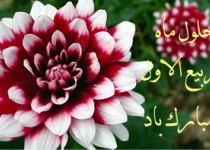 از لیلت المبیت تا میلاد پیامبر مهردوستی/ روزه روز اول ماه ربیع سفارش شده