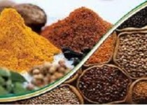 زردچوبه و بهبود یک بیماری دردناک