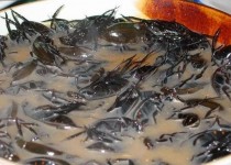 تهوع‌آورترین رکوردهای گینس را اینجا بخوانید!