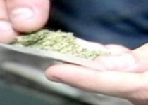 افزایش مصرف ماریجوانا در آمریکا