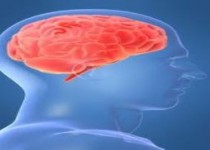 اگر باهوش کم حافظه هستید یا پرحافظه این مطلب را از دست ندهید