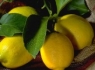 میوه ای برای تقویت اعصاب