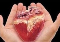 اهدای عضو، اهدای زندگی