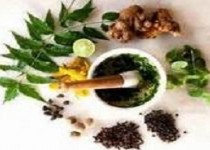 11 گیاه دارویی که باید همیشه درخانه داشته باشید!