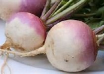 با توجه به شروع شدن فصل سرما "شلغم" فراموش نشود