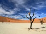 بیابان زیبای سوسوس ولای در نامیبیا + تصاویر