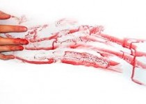 پسر بچه 5 ساله خواهرش را کشت