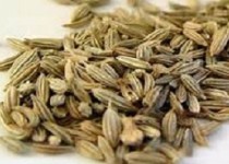 نسخه طب سنتی برای آبریزش بینی