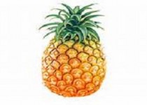 دستوری برای اینکه به راحتی چین و چروک پوست را از بین ببرید