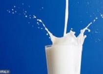 زیبایی را از شیر بگیرید