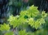 خبرخوش هواشناسی برای مردم زاهدان