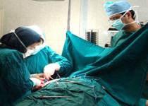 آمار اهدای عضو در سه ماه اخیر افزایش یافت