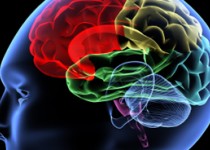 با پرهیز از این کار خطر عارضه‌های مغزی را کاهش دهید