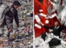 نیمی از ثروت جهانی در دست یک درصد کل جمعیت جهان