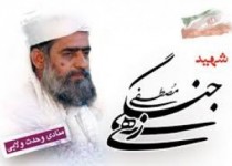 شهید جنگی زهی