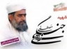 شهید جنگی زهی