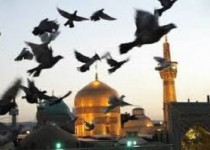 راه اندازی شبکه ماهواره ای ویژه امام رضا (ع)