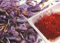 این گیاه تجاری خاصیت ضد افسردگی دارد