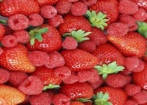 مبارزه با سرطان با سبزیجات