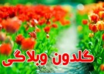 ازکاروان انقلاب تا شاهکار وزارت ارشاد