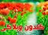 ازکاروان انقلاب تا شاهکار وزارت ارشاد