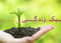 خرافات سازان چه کسانی هستند؟/شبکه های اجتماعی وماهواره عامل تولید خرافه
