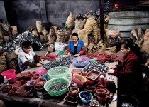 کثیف‌ترین شغل آبرومند جهان