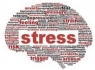9 راهکار بی نظیر برای از بین بردن استرس