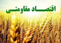 دولت با موانع اقتصاد مقاومتی از جمله فضای دشوار کسب و کار و محیط رانتی و فسادآلود برخورد سیستمی کند