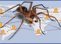 جزئیات جدیدی از پروژه «عنکبوت» منتشر شد