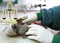 مرگ 5 سیستانی و بلوچستانی بر اثر سم